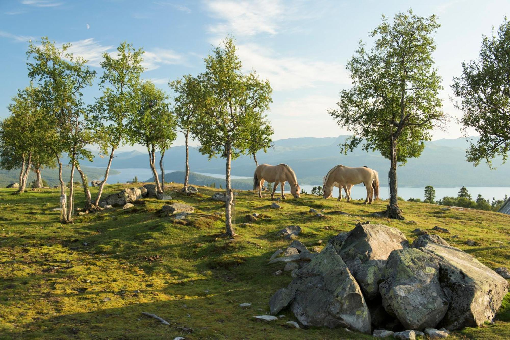 Langedrag Naturpark As Tunhovd Εξωτερικό φωτογραφία